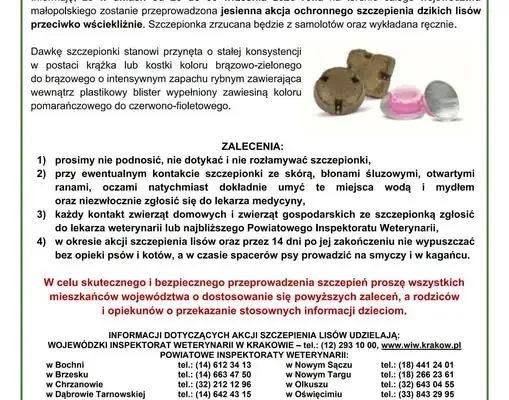 Powiat Wadowicki: Jesienna akcja szczepienia lisów przeciwko wściekliźnie