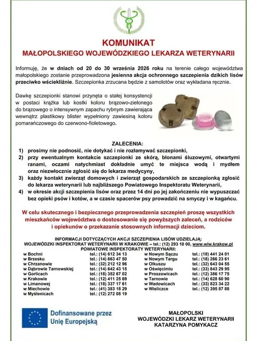 Powiat Wadowicki: Jesienna akcja szczepienia lisów przeciwko wściekliźnie